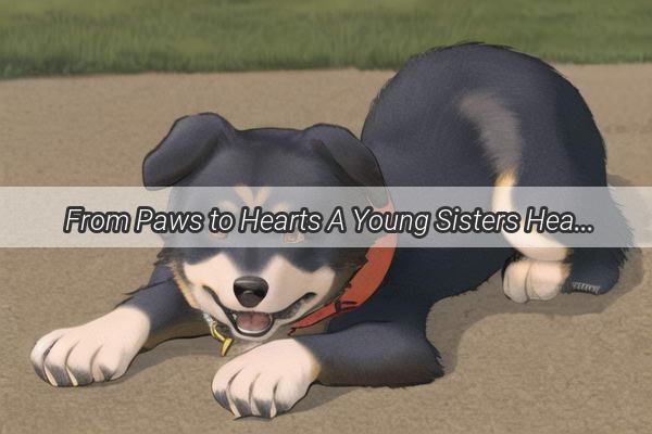 From Paws to Hearts A Young Sisters Heartwarming Journey with Her New Puppy